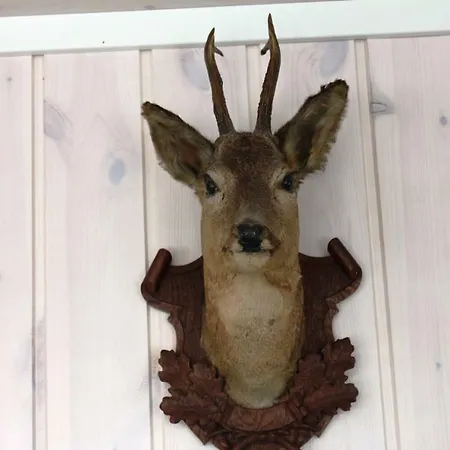 فيلة Luxury Mountain *